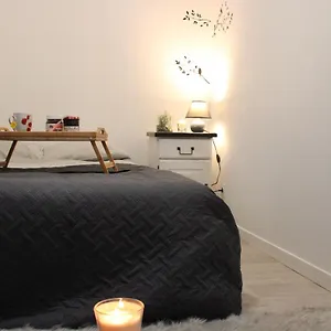 Appartement T2, Meublé Et Chaleureux; Tout Compris, Juste En Face De La Gare, Lorient